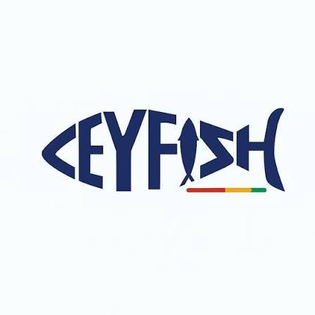 Ceyfish Logo